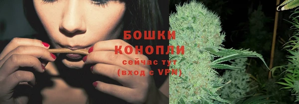mix Гусиноозёрск