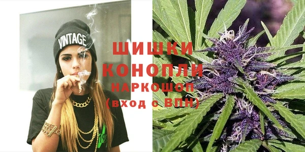 соль ск Гусь-Хрустальный