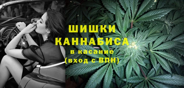 соль ск Гусь-Хрустальный