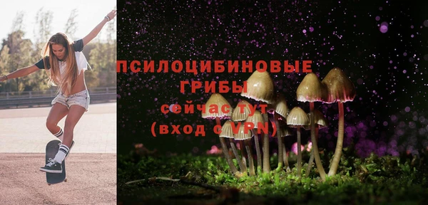 mix Гусиноозёрск