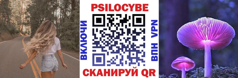 Галлюциногенные грибы Psilocybine cubensis  KRAKEN маркетплейс  Междуреченск 