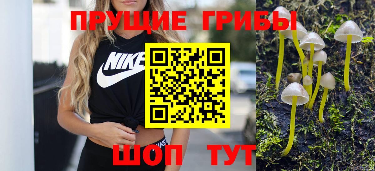 Галлюциногенные грибы мухоморы  Псилоцибиновые грибы MAGIC MUSHROOMS  Междуреченск  что такое   Вход с VPN 